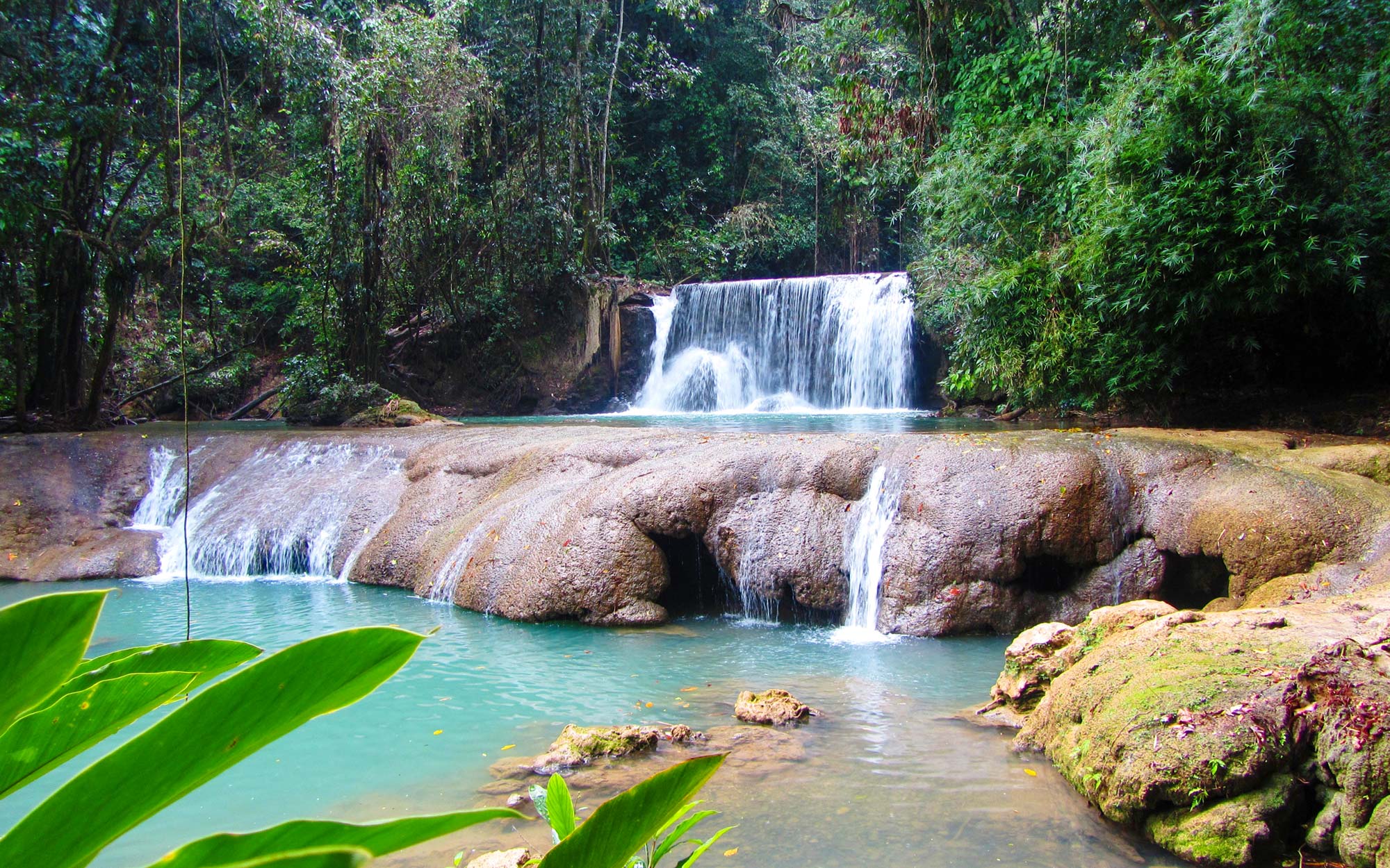 YS Falls Jamaica opening hours — the main waterfall and natural pool during peak visiting hours