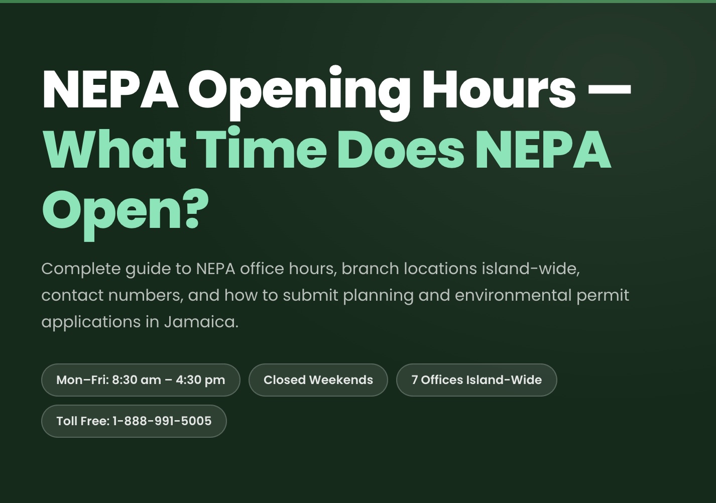 NEPA Opening Hours